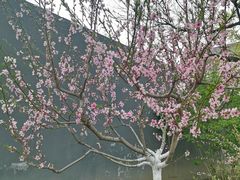 -建国门(地铁站)