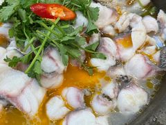 -大鼎石锅鱼(春江里店)