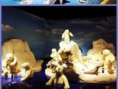 -成都泰迪熊博物馆