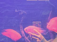-海味世家·家常菜馆(明州里店)