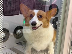 -FAELING PETS美天灵宠物(富力广场店)