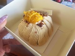 -HOWLULU蛋糕商店