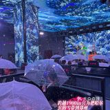 蹦迪唱歌🎤下雪下樱花的烤吧·Mz-MIX电音烤吧