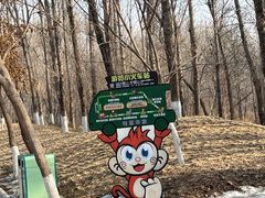 -北京野生动物园