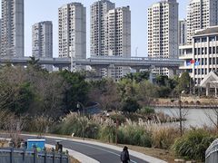 -三垟湿地