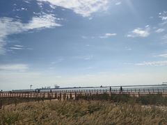 -东疆建设开发纪念公园