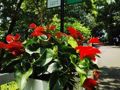-广州市白云山风景名胜区