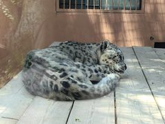 -青藏高原野生动物园