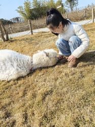 -DORA kids 朵拉儿童摄影花园店