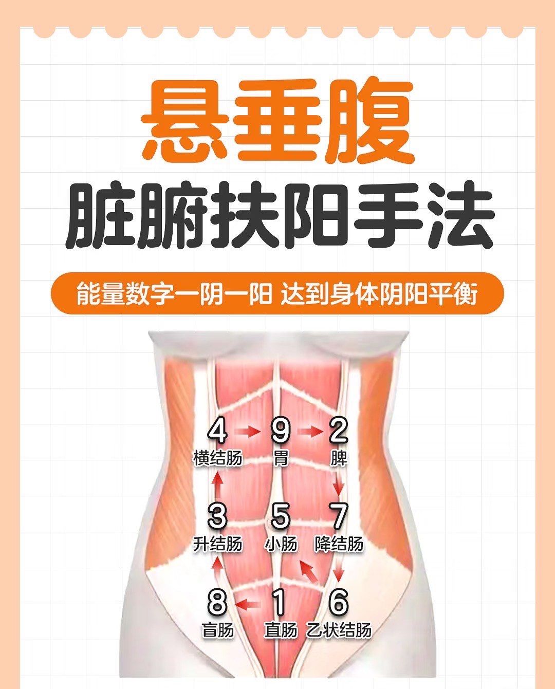 产后告别悬垂腹🙌脏腑扶阳手法🔥
