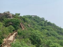 -大岭沟猕猴桃谷风景区