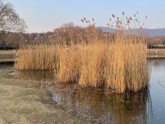 -T80科技文化国际社区-停车场