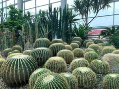 -祥源·阜阳生态乐园