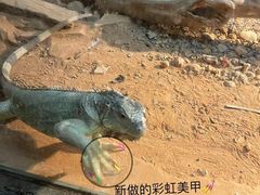 -常州淹城野生动物世界