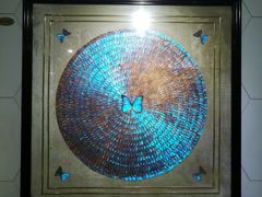 -上海昆虫博物馆