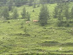 -云座·时光·观景咖啡厅(五爷庙店)