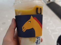 -春丽小马(济南恒隆广场店)