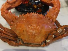 -半岛听涛蒸汽海鲜自助(K11店)
