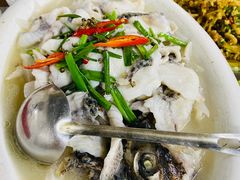 -杨厝六十六农庄农舍(杨厝路店)