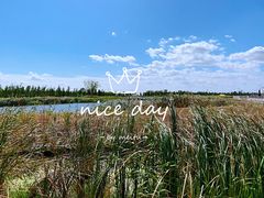 -春花秋色城市公园