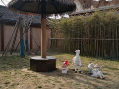 -黄帝千古情