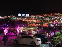 -枇杷园食为鲜火锅(南山店)