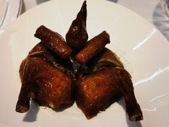 -渔意楼·驰名沙田乳鸽(五羊店)