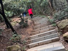 -杭州半山国家森林公园