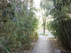 -南长河公园