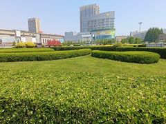 -大连双兴商品城