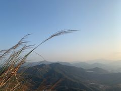 -梧桐山风景名胜区