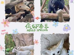 -长鹿旅游休博园