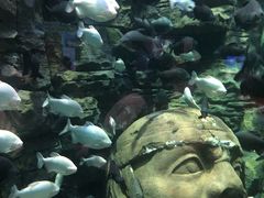 -成都浩海立方海洋公园