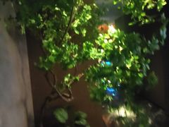 -唐宫足道·SPA·住宿24H会所(木渎店)