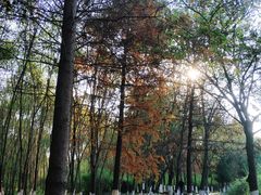 -长广溪湿地公园
