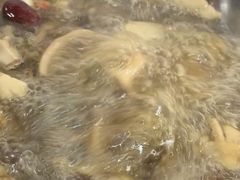 -江川野生菌火锅铜锅鱼(贵清火锅店)