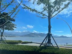 -青岛海尔洲际酒店