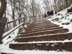 -紫金山山顶公园