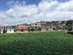 -军营村