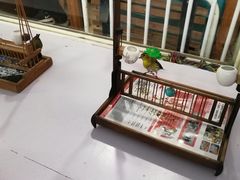 -万商花鸟市场
