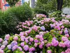 -北外滩滨江绿地