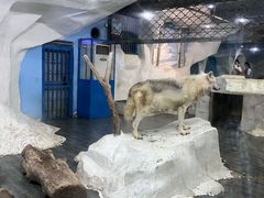 -南京海底世界