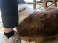 -曼谷食堂·泰国家庭料理