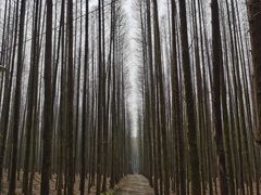 -山王坪喀斯特国家生态公园