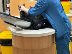 -联合动物医院(光谷诊疗中心)