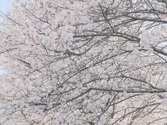 -堤角公园