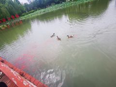 -云居湖