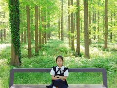 -黄海国家森林公园