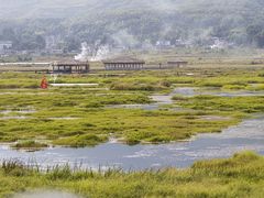 -腾冲北海湿地