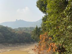 -杭州半山国家森林公园